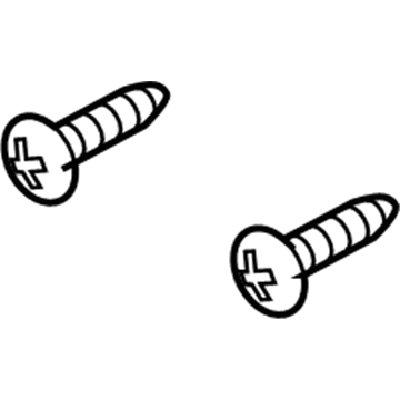 Chevy 11517073 Pull Strap Screw