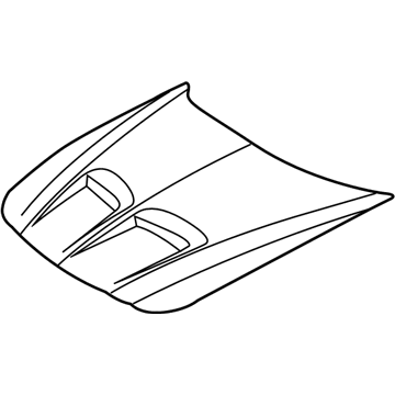 GM 12498263 Hood Pkg,Grd Amplitude Modulation Ram Air(Non, Function)Material:Smc