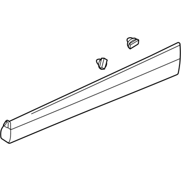 GM 42810318 MOLDING ASM-FRT S/D LWR