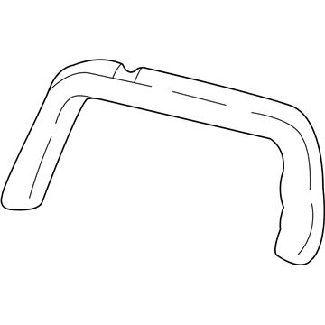 Oldsmobile 10316822 Window Molding