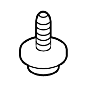 Chevy 94520166 License Lamp Screw