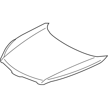 GM 19183898 Hood