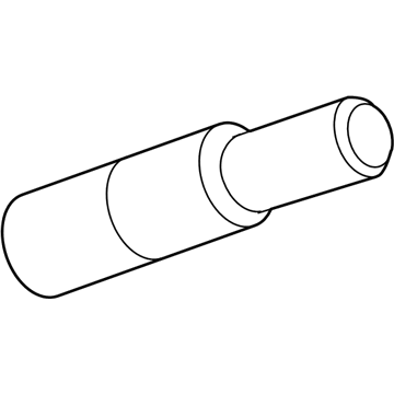 Buick 13598909 TPMS Sensor Valve