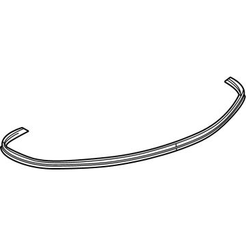 2021 Chevy Corvette Weather Strip - 84952581