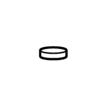 Chevy 12691257 Oil Tube Seal