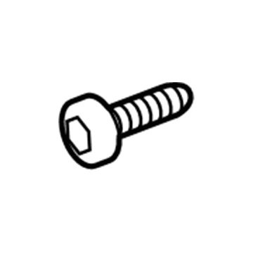 GMC 11609457 Tail Lamp Assembly Screw