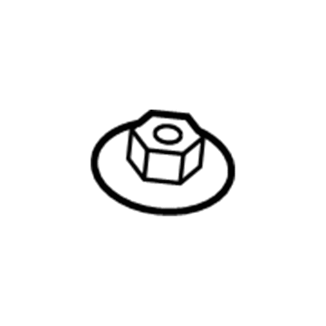 Chevy 11546452 Radiator Nut