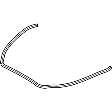 2019 Cadillac CTS Weather Strip - 23438151