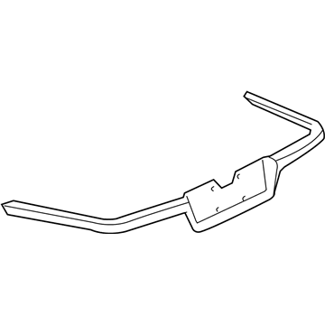 Chevy 10341349 Molding