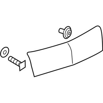 GM 19300748 Applique,Rear Closure Center *Service Primer