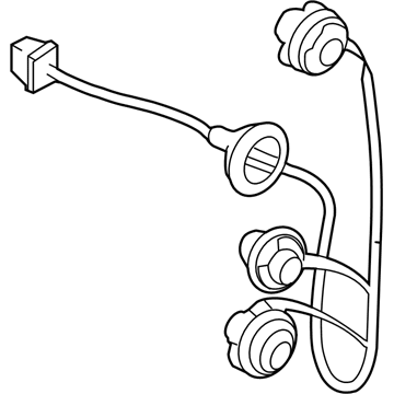 GM 19316436 Harness,Rear Lamp Monitor Light Conductor