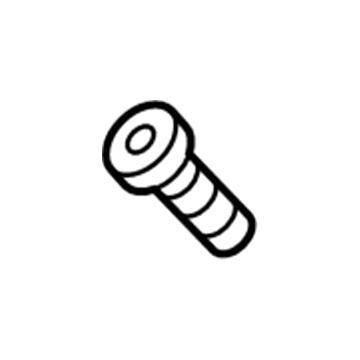 Chevy 11609457 Lower Gate Trim Screw