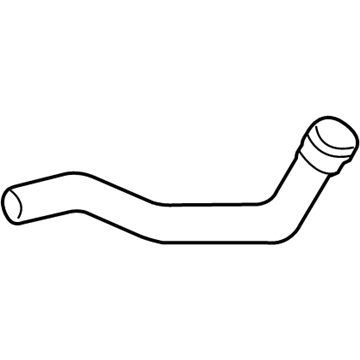 GMC 15659615 Lower Hose