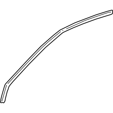 GM 15744718 Weatherstrip,Front Side Door Roof Drip