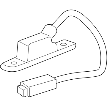 Chevy 20807069 License Lamp