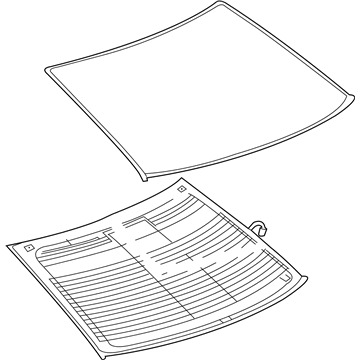 GM 19120944 Window Asm,Rear