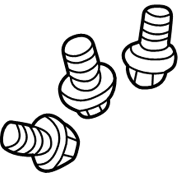 Chevy 10293818 License Lamp Screw