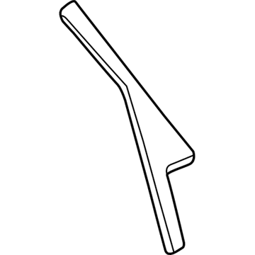 Chevy 10316234 Glass Molding