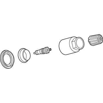 GM 19117464 Valve Kit,Tire