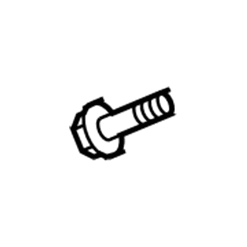 Chevy 11611881 Wheelhouse Liner Screw