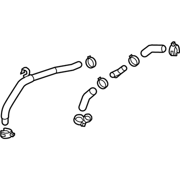 GM 20824599 Radiator Surge Tank Outlet Hose Assembly