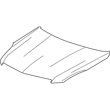 GM 84448649 Hood Assembly, .