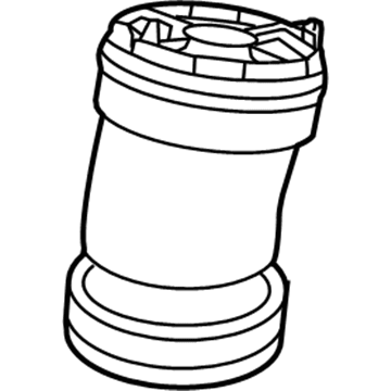 GM 84252215 Spring Assembly, Rear Air