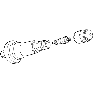 Chevy 13598909 Tire Valve Kit