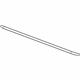 GM 25958925 Weatherstrip,Front & Rear Side Door Lower