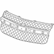 GM 5481230 Grille Assembly, Radiator