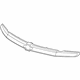 GM 19120528 Strap,Radiator Grille (Chrome Bar Less Emblem)