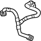 GM 24042597 Pipe Assembly, Trans Fluid Clr