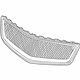 GM 15944629 Grille, Radiator Lower