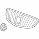 GM 20925291 Grille Assembly, Radiator Outer