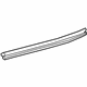 GM 42440828 Sealing Strip Assembly, Rear S/D Wdo Inr