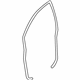 GM 25913654 Weatherstrip,Front Side Door Upper