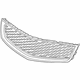 GM 25798747 Grille Assembly, Radiator Lower