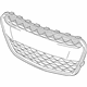 GM 42352967 Grille, Front Lower