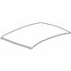 GM 23387898 Panel, Roof