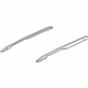 GM 15254141 Rail Assembly, Luggage Carrier Side (Steel)