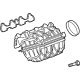 GM 12672109 Manifold Assembly, Intake