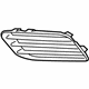 GM 25980484 Cover, Front Fog Lamp Opening