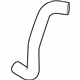 GM 19316320 Radiator Outlet Hose