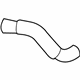 GM 15057982 Radiator Outlet Hose (Lower)