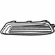 GM 22738852 Grille Assembly, Radiator Lower Outer