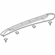 GM 95437103 Rail Assembly, Luggage Carrier Side