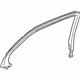 GM 84178951 Molding Assembly, Rear Side Door Window Garnish