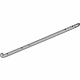 GM 22764035 Weatherstrip Assembly, Front Side Door Lower Auxiliary