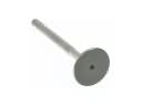 Exhaust Valve, Exhaust Muffler Valve